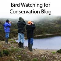 Birding  Ecuador for Conservation